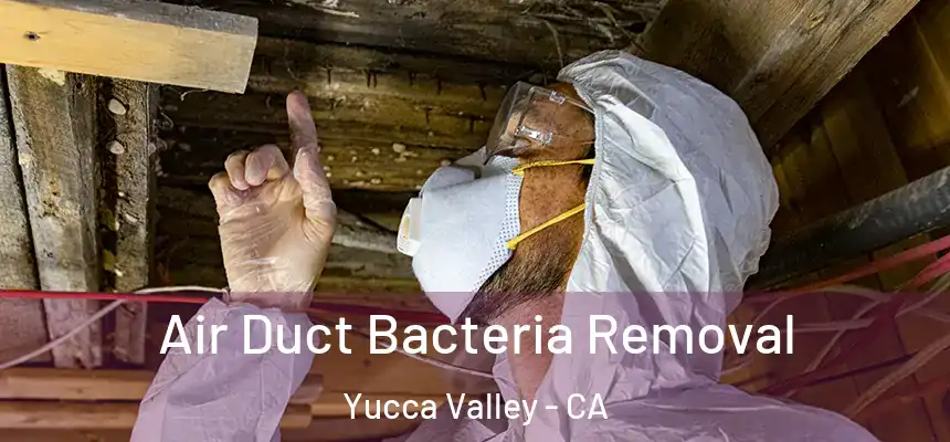 Air Duct Bacteria Removal Yucca Valley - CA