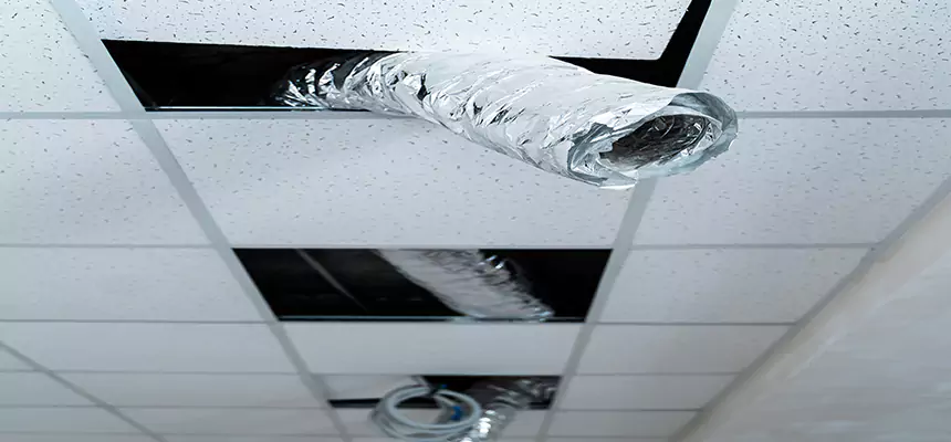 Affordable HVAC Sanitizing After Pest Removal in Yucca Valley