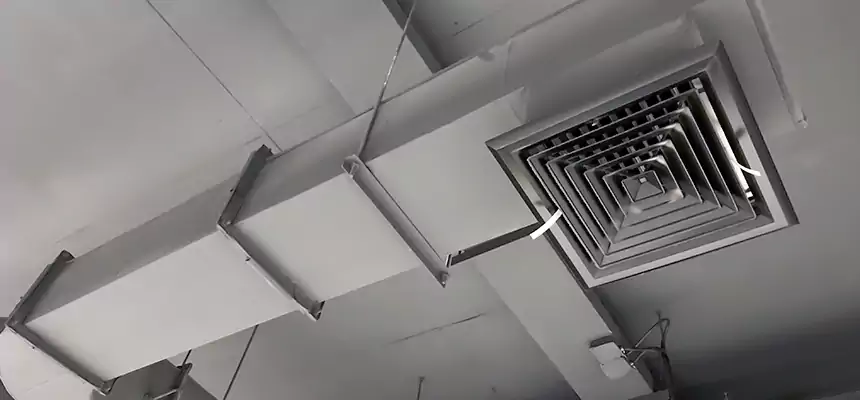 Our Pest Removal From Ducts Services in Yucca Valley, CA