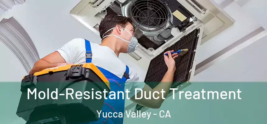  Mold-Resistant Duct Treatment Yucca Valley - CA