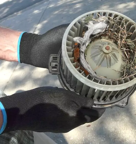 About Air Duct Mice Removal in Yucca Valley, CA