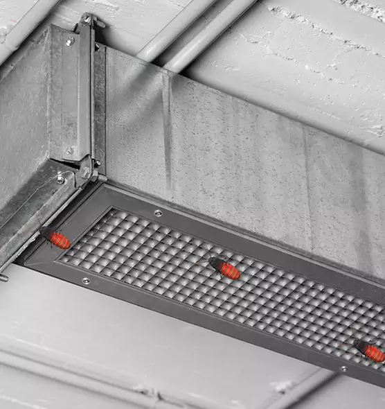 Affordable Insect Removal from Air Ducts in Yucca Valley, CA